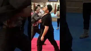 REAL self defense Training in Action &ndash; by Grand Master Ali Rostami