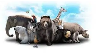 Animal Behavior or types of behavior's explained in Nepali by Kunwar Sir