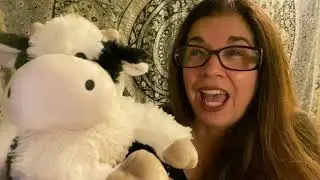 Moo Cow Moo
