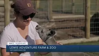 Spring Break fun at Lewis Adventure Farm & Zoo