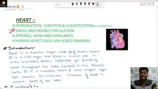 HEART, INTRODUCTION, FUNCTION, CLASSIFICATION, ARTERY, VEIN, CAPILLARY, HUMAN HEART DIAGRAM,