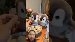 #cute #pets #animals #penguin #panda #funny #new #cuteanimals #ai #healing