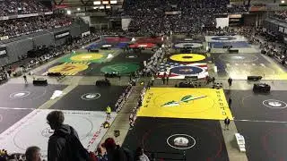 Washington State Wrestling Championships 2019