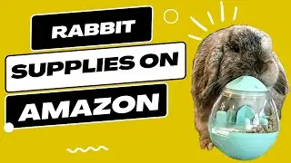 Rabbit Supplies For Beginners // Amazon Haul