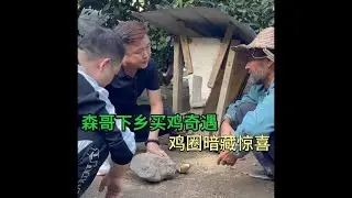 森哥下乡买鸡奇遇，鸡圈暗藏惊喜！ #森哥翡翠文化 #实战开窗 #翡翠实战