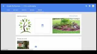 Google my business how to