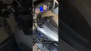 Hanson cams