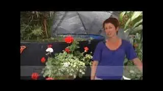 Greenhouses for Sale: Find the right Greenhouse for you