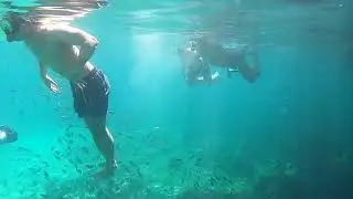 Cebu island hopping tour || free dive @ gilutungan 2