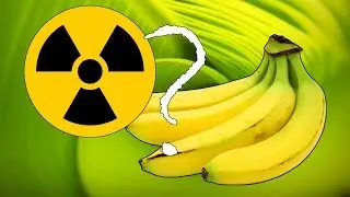 ¿Cómo de RADIACTIVOS son los plátanos?