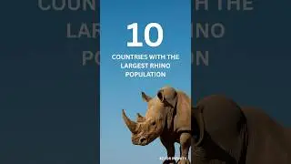 Top 10 Countries with the Largest Rhino Populations 🦏
