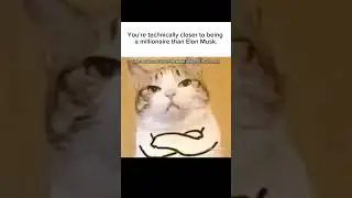 millionaire #memes