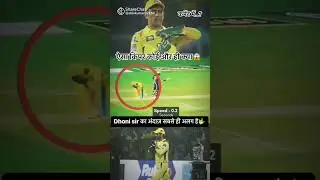 ms Dhoni kipar best