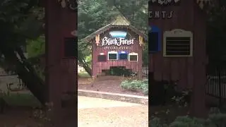 👀 Drachen SPIRE? 🎢 Busch Gardens Williamsburg's 😷 Virus-Stalled Coaster Is Back On Everyone's Radar!