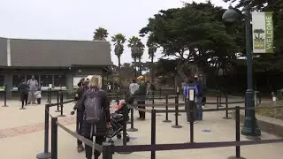 San Francisco Zoo reopens with virus safety rules