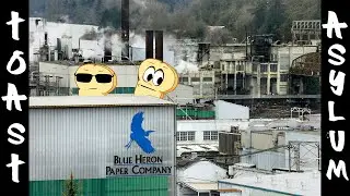 Exploring an ABANDONED Paper Factory