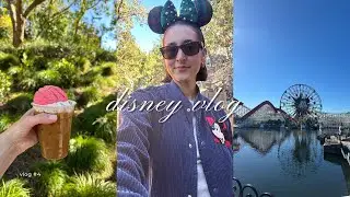 Мини-видеоблог о Диснее 🏰✨
