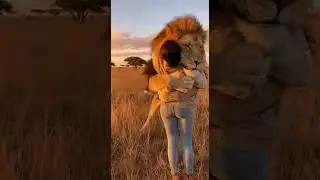 Никто не ожидал, что лев это сделает 🦁🤍 #шортыдляживотных #кот #смешно #милый #добрый #золотистый...