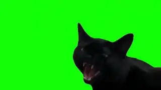 Ung hrrr meme green screen
