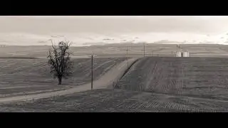 Micro Four Thirds Beats Full Frame Image Quality...