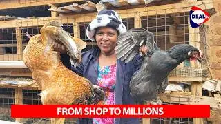 From Retail Shop to Poultry Millionaire in Uganda &mdash; How Local Chicken Farming Changed My Life