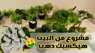  مشروع من البيت مربح 🪴 هتكسبي فلوس كتيررر 💰