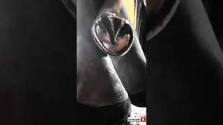 Horses getting their feet clean.