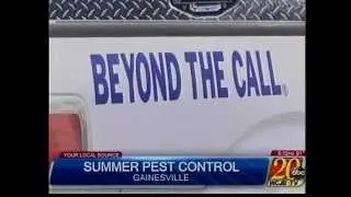 Summer Pest Control: Home Pest Prevention Tips from Arrow Exterminators in Gainesville, FL