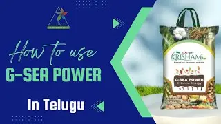 HOW TO USE GALWAY KRISHAM G - SEA POWER ? NATURAL ORGANIC FERTILIZER || BENIFITS IN TELUGU