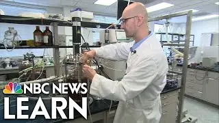 Science of Innovation: Biofuels
