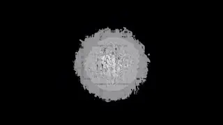 Avi Snow, Cairo & Tamir Regev  - Ocean  (Remix)