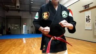 Karate Crescent kick basics