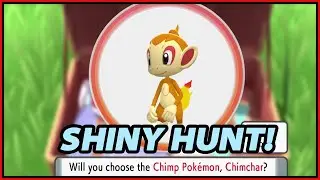 Shiny starter Chimchar hunt! | Pokemon BDSP (1300+ Resets)