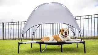 SUPERJARE XLarge Outdoor Dog Bed, Elevated Pet Cot with Canopy, Portable for Camping or Beach