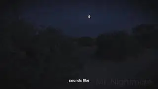 3 Very Creepy TRUE Night Drive Horror Stories