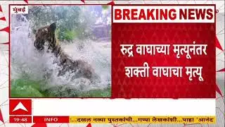 Ranichi Bagu Tiger Case : राणीच्या बागेतील रुद्र नावाच्या वाघाचा मृत्यू, प्राणीप्रेमी संतप्त