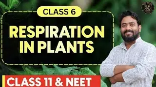 Class 11th Biology Chapter 14/ Respiration In Plants Part-6 