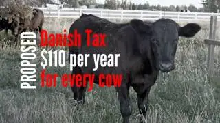 weird taxes - flatulance tax