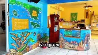 Welcome to ScubaFun!