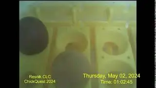 Resnik CLC Live Stream