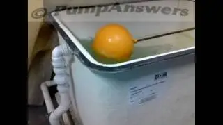 Crazy Ballcock