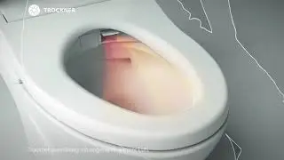 F&ouml;hn-Funktion beim Dusch WC | Beim originalen WASHLET aus Japan