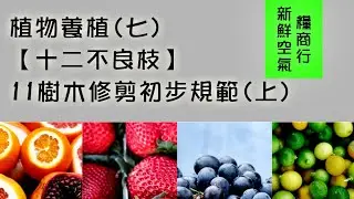 11樹木修剪初步規範(上) 4分鐘讓你認識【十二不良枝】植物養植(七)