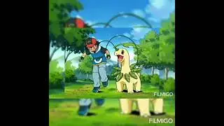 Ash Chikorita, Bayleef Meganium 🤗🤗 #shorts  #pokemon  #ashketchum  #chikorita
