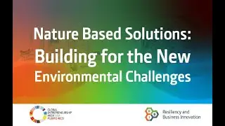 &ldquo;Nature Based Solutions  Building for the New Environmental Challenges&rdquo;  RBI