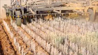 Flexicoil airseeder