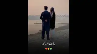 #music #pakistan #review #urdupoetry #786#petlover