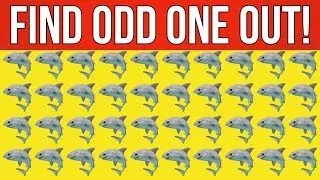 Spot The Odd Emoji Out | Odd Object Out 🌳 Odd One Out 🌳 Puzzles #50