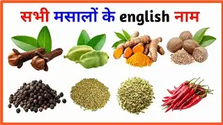 सभी मसालों के इंग्लिश नाम|| masalo ki english meaning|| मसालों के अंग्रेजी नाम 
