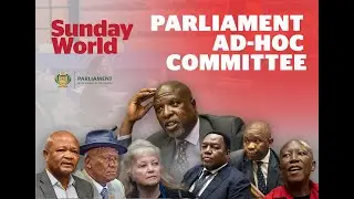 Ad Hoc Committee| 04 February 2026